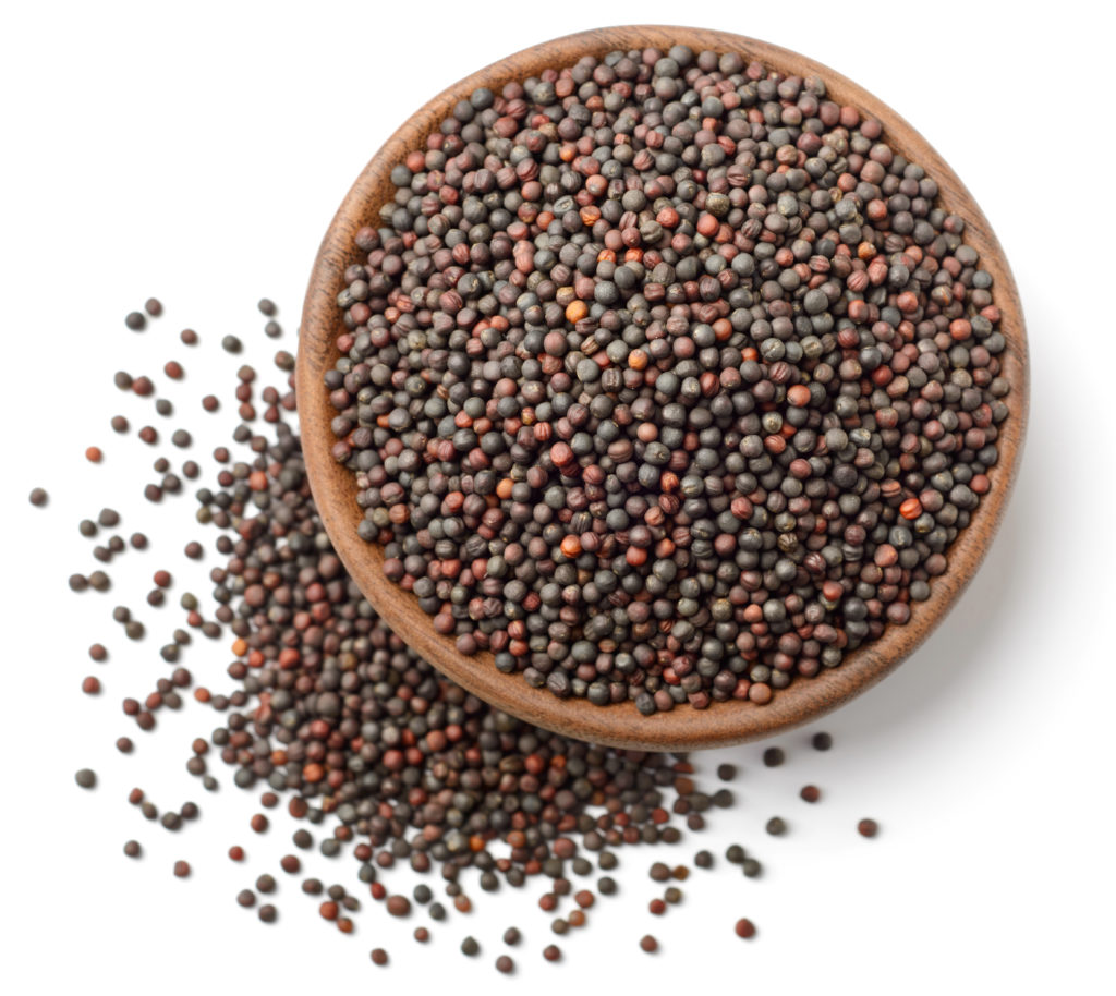 dried canola seeds in the wooden plate, isolated on white, top view graines de colza
